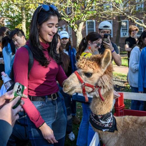 A female student pats a llama